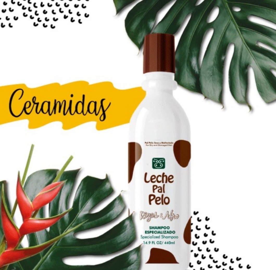 tips-ceramidas