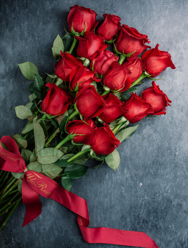 la-rosa-en-historia-